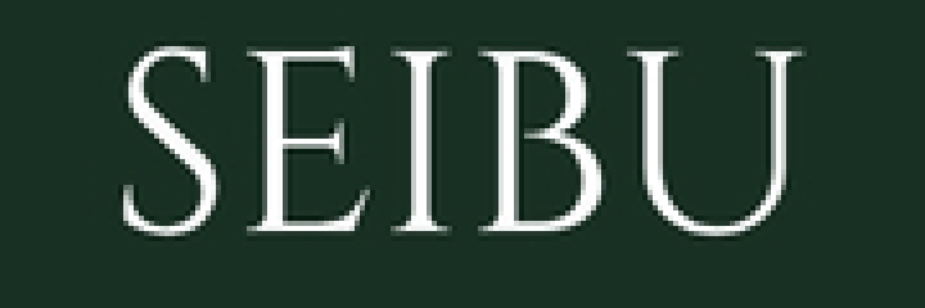 seibuSilverStone-logo